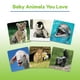 thumbnail image 3 of Wonder Forge Baby Animals Juego a Juego – Atractivo Refuerzo de Memoria | De 3 a 5 años | Rápido, Di, 3 of 4