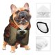 thumbnail image 3 of Fotbe Jungle Meditating Panda Sudadera con Estampado para Perros Pequeños – Suéter con Capucha para Mascotas, Tela Suave de Forro Polar con Bolsillo-Small, 3 of 7