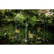 The Collection by Chesapeake Bay - Jungle Moss - 2-Wick Tumbler Candle