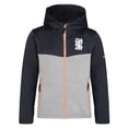 thumbnail image 1 of Dare 2B - Chaqueta softshell infantil (Gris ceniza/Gris ebony) Dare 2b UTRG3837_P, 1 of 3