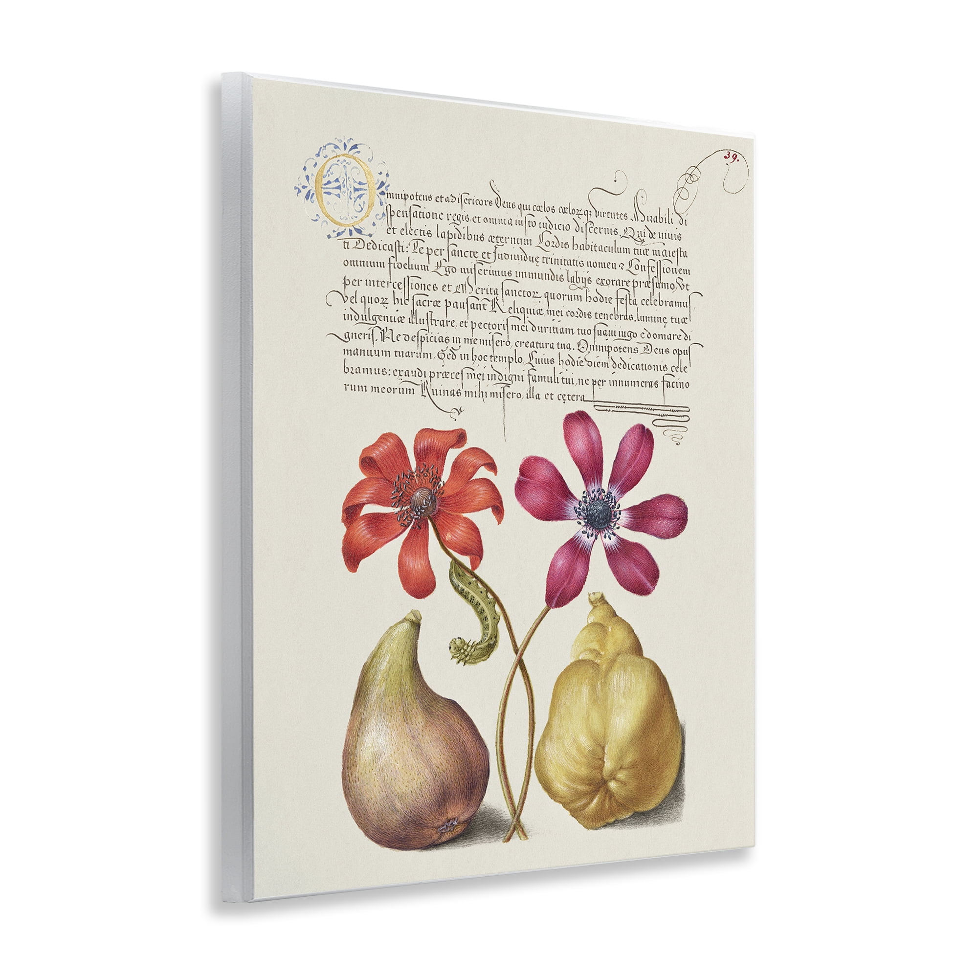 Stupell Industries Vintage Nature Page Text & Numbers Painting Unframed Art Print Wall Art, 11 x 14