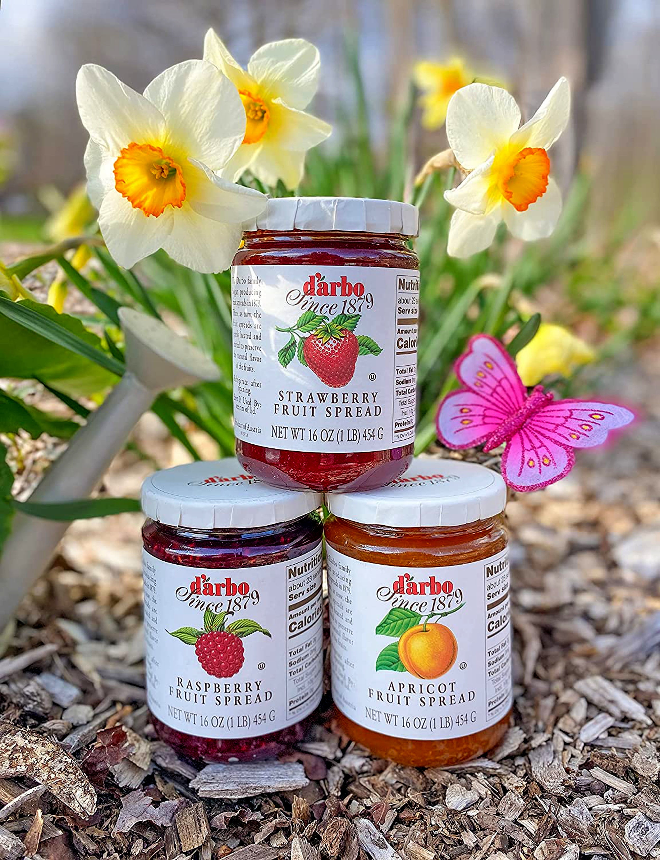 D'Arbo STRAWBERRY Fruit Spread Preserve 16 Oz. (454 G) X 2 with Bonus Gold Stainless Steel Stirring/Spreader Spoon (3-Pc Set)