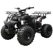 Tao Tao T Force 125 cc ATV Reverse and Big 19 18 Tires Utility Model Carb