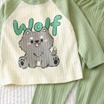 thumbnail image 4 of NOLDARES Toddler Boys Sleepwear 2 Piece Pajamas Set Cotton Long Sleeve Crewneck Top and Pants Pjs Jammies Fall Winter 6-12 Months 12-24 Months 2t 3t 4t 5t 6t 7t 8t 9t Children,Light Green,3-6 M, 4 of 4