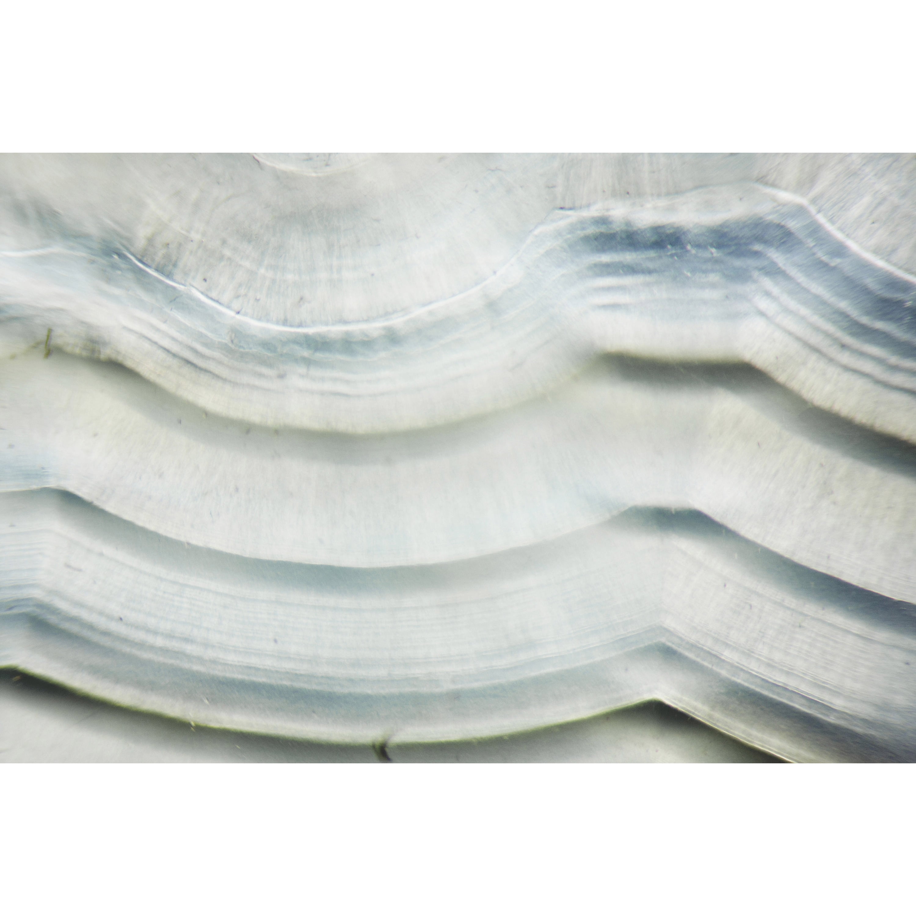 Marmont Hill - "Ripple Effect" Painting Print on Wrapped Canvas
