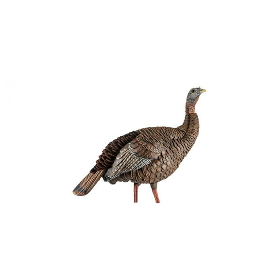 Avian-X HDR Hen Turkey Decoy with Durable Realistic Lifelike Design