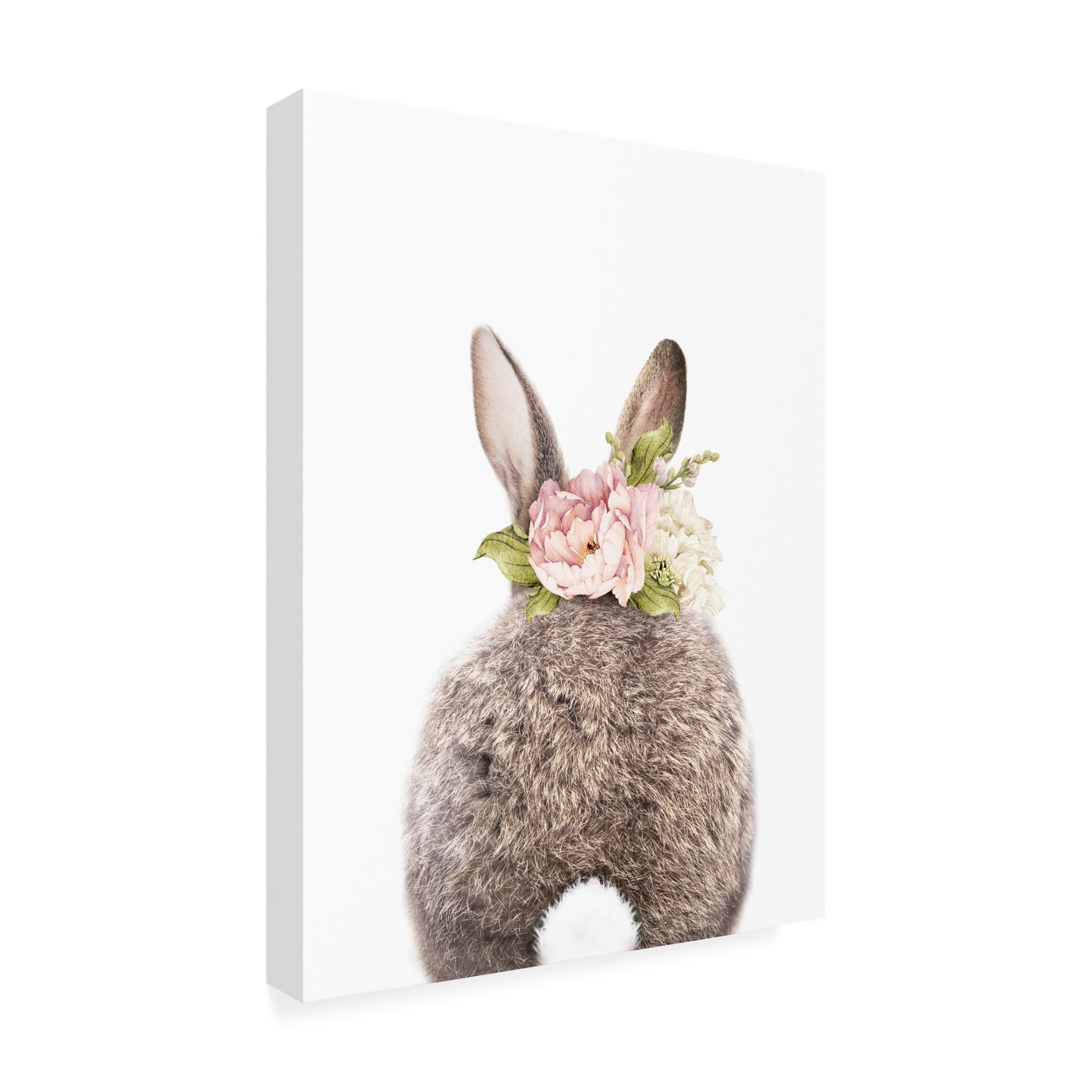 Trademark Fine Art Lola Peacock Floral Bunny Back Canvas Wall Art