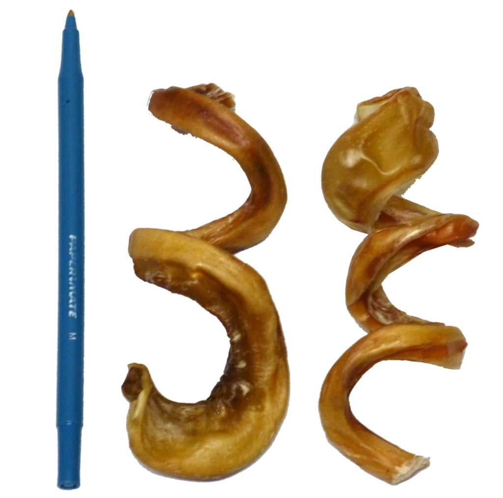 Dental Floss CURLY 4-6" Bully Sticks Made in USA Odor Free Size:Pack of 25