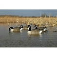 thumbnail image 3 of Storm Front Canada Goose Floater, Pack of 4, 3 of 5