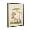 thumbnail image 4 of Stupell Industries Vintage Patterned Mushrooms Botanical & Floral Painting Gray Floater Framed Canvas Art Print Wall Art, 25 x 31, 4 of 10