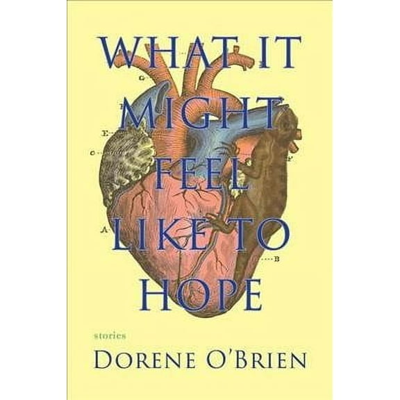 What It Might Feel Like to Hope (Paperback)