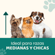 thumbnail image 3 of Casa para Perros Medianos, Chicos y Pequeños Plástico Resistente para Exterior e Interior, Diseño Térmico con Ventilación, Puerta Metálica Segura, Plegable y Compacta, 75x53x66 cm, Color Verde, 3 of 7