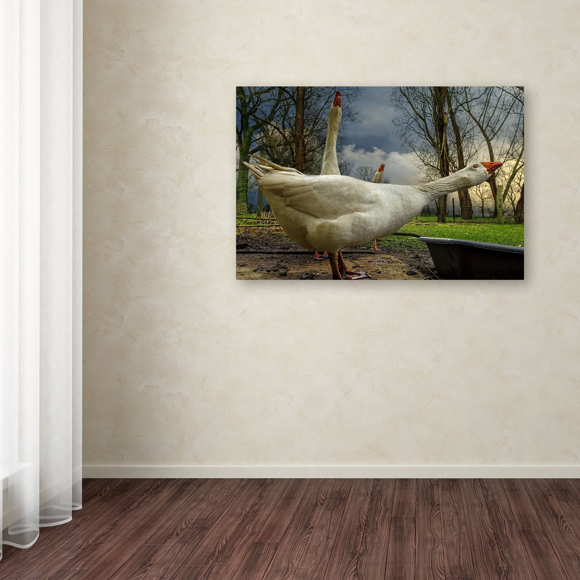 Piet Flour 'The 3 Geese' Canvas Art