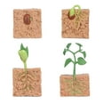 thumbnail image 1 of kusrkot 4 Piece Life Cycle Figures, Plants Plastic Soybeans Seeds Toy Model Figure - Authentic Hand Painted Model, 1 of 7