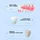 thumbnail image 5 of Cepillo de dientes rotatorio Xihbxyly Artefacto de limpieza de dientes, 5 of 5
