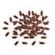 thumbnail image 5 of 100 piezas de cucarachas falsas, juguete de broma de cucarachas artificiales, favores de fiesta, simulación, juguetes de broma para niños, cucarachas S BLESIY Juguetes falsos para cucarachas, 5 of 8