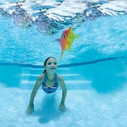 Rainbow Reef Dolphin Friends