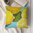 thumbnail image 3 of SHANXI Throw Pillow Covers Fruit Print Cushion Cover Soft Pillow Cases for Home Sofa Bed Chair Car Office Decorative 20x20in, 3 of 5