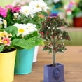 thumbnail image 1 of Micro Landscape Plants, Miniature Dollhouse Plants Long Service Life for Dollhouse Decoration, 1 of 7