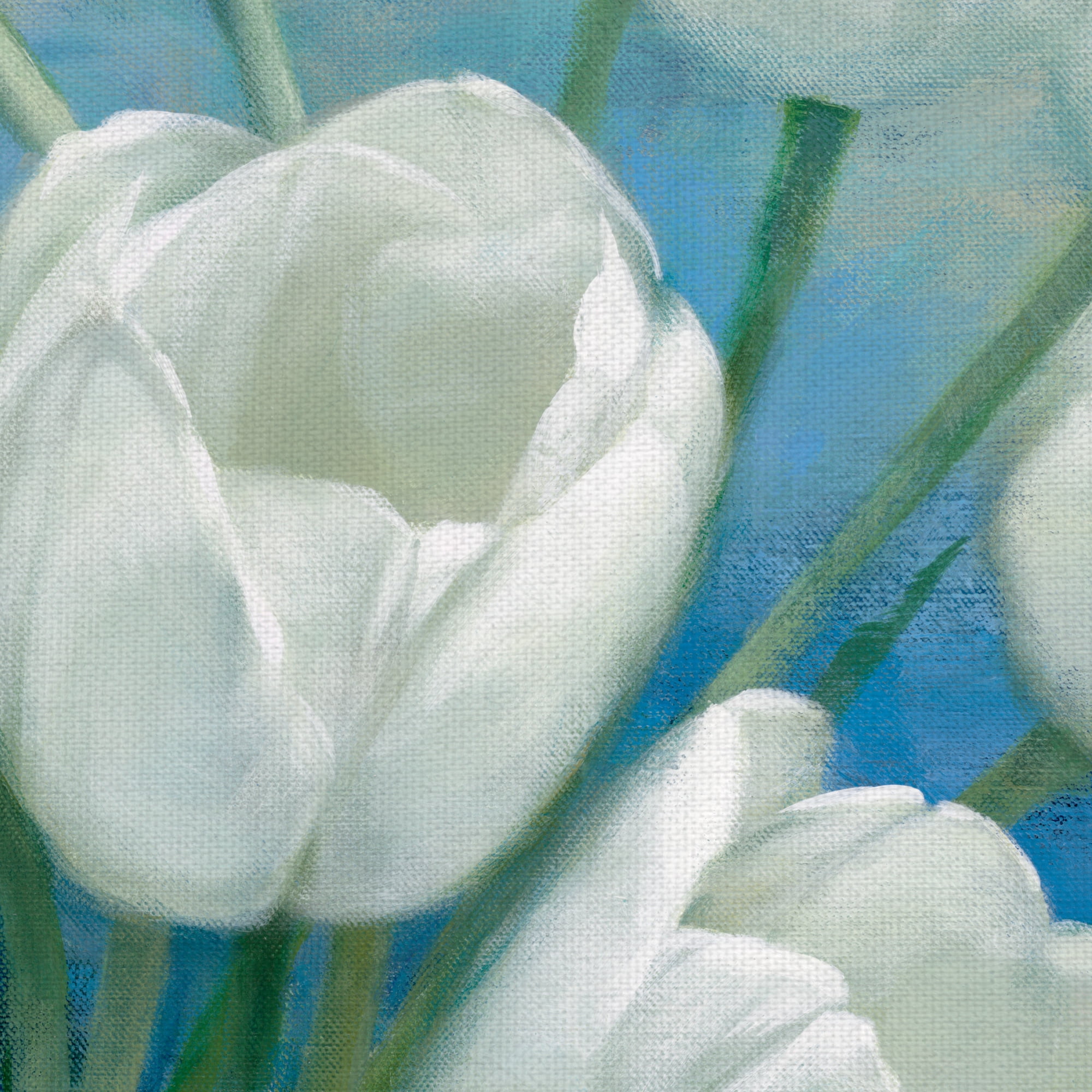 Tulip Blossoms by D. Rogier Wrapped Canvas Painting Art Print