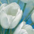 thumbnail image 3 of Tulip Blossoms by D. Rogier Wrapped Canvas Painting Art Print, 3 of 4