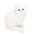 thumbnail image 1 of Chat de Simulation Blanc Mignon Attrayant Peluche Faux Jouet Chat avec Pile 84mAh pour Décorations de Cadeaux Jouets, 1 of 7