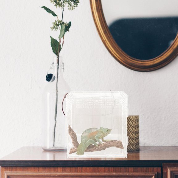 BESTYASH 1Ud Terrario Transparente De Acrílico Para Reptiles Con Buena Transmisión De