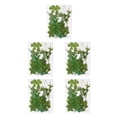 thumbnail image 1 of Bearachild Hoja seca natural DIY Arte hecho a mano Planta en relieve Hojas prensadas Decoración Hogar Decorativo para tarjetas de boda de resina Type2 NO2 Bearachild CBP163997, 1 of 4