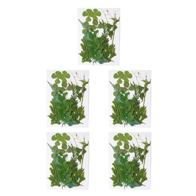 Bearachild Hoja seca natural DIY Arte hecho a mano Planta en relieve Hojas prensadas Decoración Hogar Decorativo para tarjetas de boda de resina Type2 NO2 Bearachild CBP163997