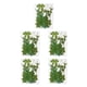 thumbnail image 2 of Yuarrent Planta en relieve de hojas secas naturales Hojas prensadas Verde seco Decoración de belleza Suministros para el hogar Regalos de Type5 NO5, 2 of 6