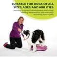 thumbnail image 4 of FitPAWS® Dog Balance Disc - Razzleberry, 22" | Dog Exercise Equipment | Workout Tool for Strength, Core, Stability & Rehabilitation, 4 of 5
