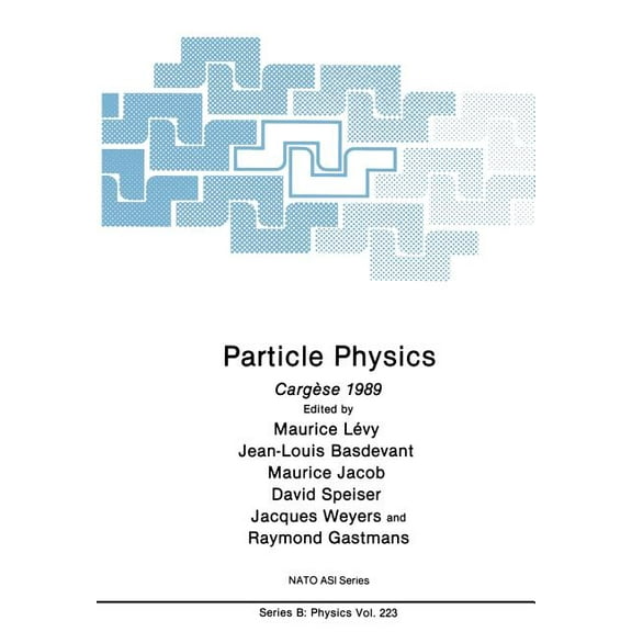 NATO Science Series B: Particle Physics: Cargèse 1989, Book 223, (Paperback)
