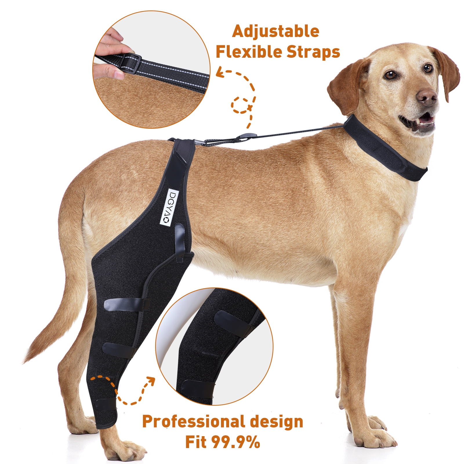 DGXINJUN Dog Knee Leg Brace Knee Cap Dislocation Arthritis Full Wrap Easy Adjustable