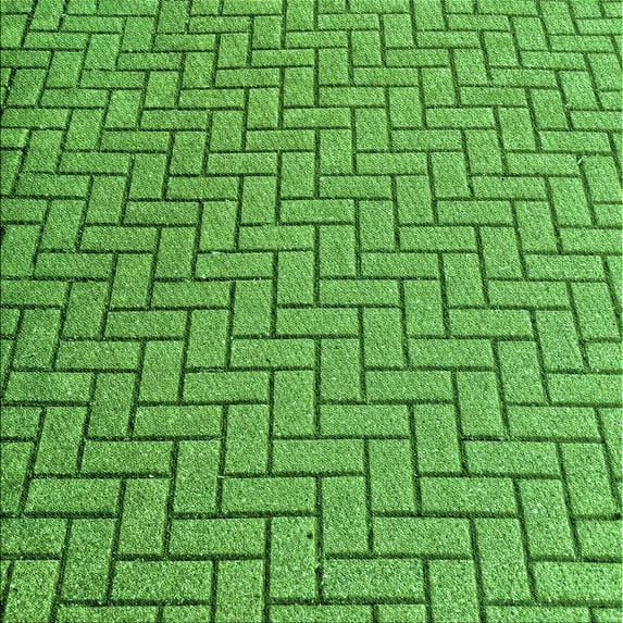 Ahgly Company Machine Washable Indoor Square Transitional Green Area Rugs, 8' Square