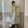 thumbnail image 4 of Primavera Otoño 2024 Nueva Falda Paraguas De Cintura Alta Adelgazante De Línea A De Longitud Media Moda Para Mujer, 4 of 5