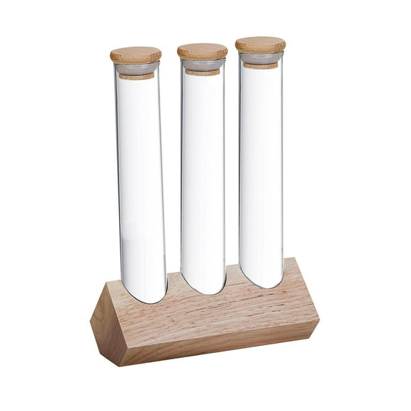 Transemion Glass Test Tubes with Holder Rack with Canister Clear Lid for Pantry Sugar