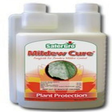 mildew
