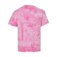 thumbnail image 3 of Dyenomite Youth Pawprint Short Sleeve T-Shirt in Pink S | 20BPR, 3 of 3