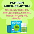 thumbnail image 5 of Pamprin Maximum Strength Multi-Symptom Menstrual Pain Relief Caplets, 40 Ct, 5 of 8
