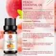 Peach Essential Oil 100 Pure Organic Therapeutic Grade Peach Oil for
