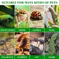 thumbnail image 3 of CTIRCHIU Lizard Terrarium Reptile Breeding Box Transparent Acrylic Safe Closure 1Pack, 3 of 7
