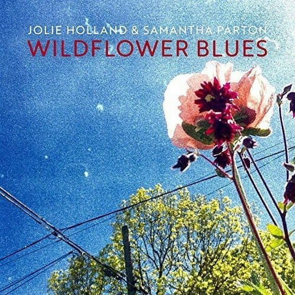 Jolie Holland - Wildflower Blues - Music & Performance - CD