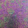thumbnail image 6 of 4 Way Stretch Nylon Spandex Fabric - Alligator Skin Hologram for Bold Designs| Spandex Palace, 6 of 42