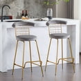 thumbnail image 1 of Bar Stool Set of 2,Luxury Velvet High Bar Stool with Metal Legs and Soft Back,Pub Stool Chairs Armless Modern Kitchen High Dining Chairs with Metal Legs,Grey, 1 of 5