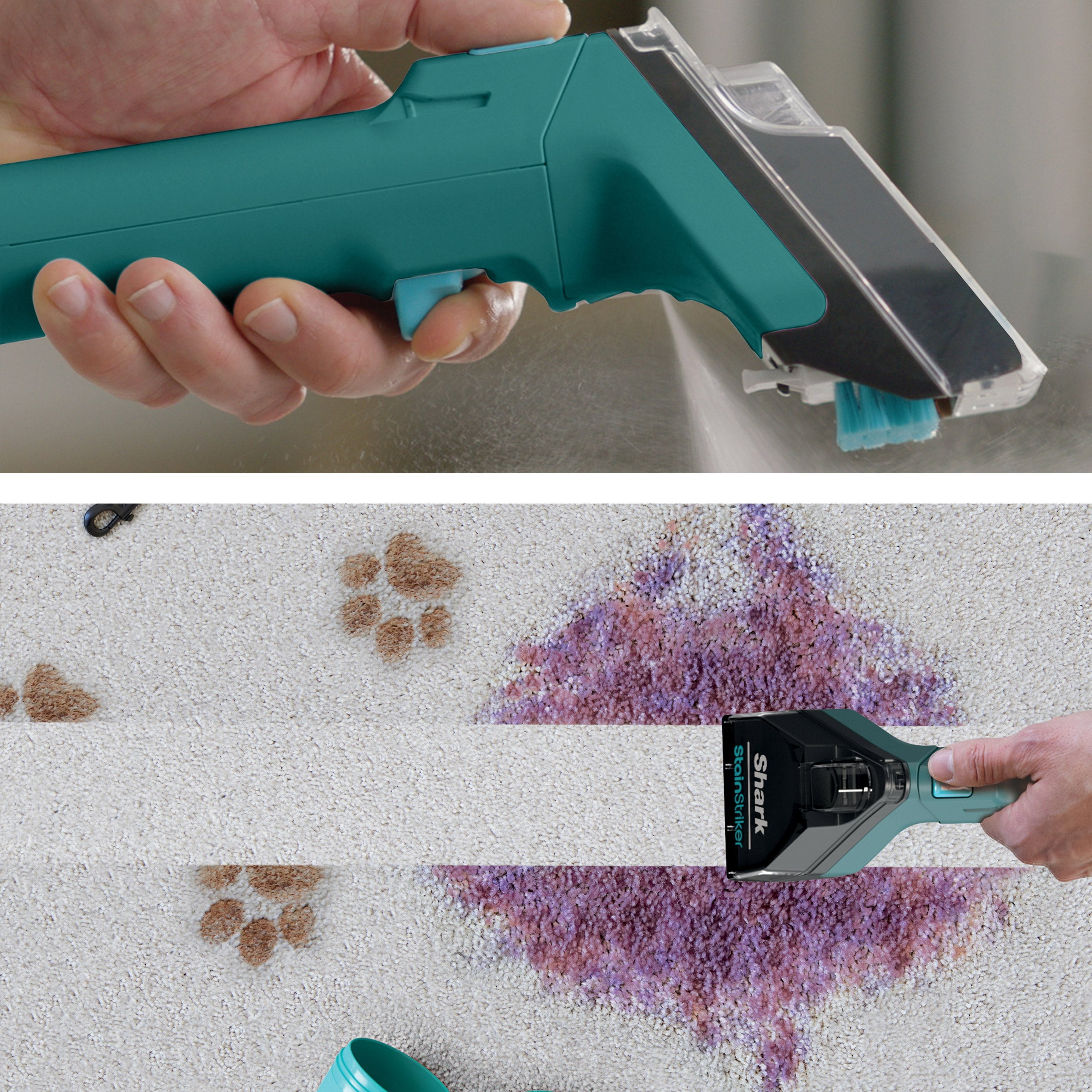 Shark Carpetxpert Deep Carpet Cleaner : Target