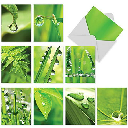 'M2015 JUST DEW IT' 10 Assorted All Occasions Notecards Feature Dew Drops on Leafy Greens with Envelopes by The Best Card (Best Cheap Juicer For Leafy Greens)