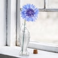 thumbnail image 2 of Botella de vidrio con forma de pez, delicado jarrón de vidrio, florero decorativo, 2 of 8
