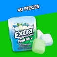 thumbnail image 5 of Extra Refreshers Sugar-Free Mint Gum Mix Chewing Gum - 40ct Bottle, 5 of 5