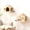 2 Houses, variant on Solid Wood Wall Mounted Cat Perch Balcony 3-Pack Walkway