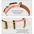 thumbnail image 5 of Basic Classic Padded Leather Dog Collar, Anti-Hairpin Dog Collar, Alloy Hardware D Ring, 5 of 5